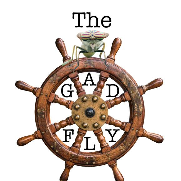 gadflyspeaks